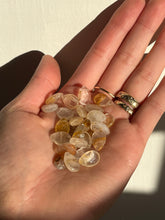 Load image into Gallery viewer, You're so golden