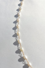 Load image into Gallery viewer, Nectar