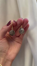 Load and play video in Gallery viewer, Grey stone earrings
